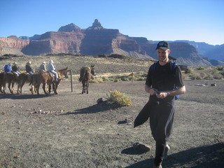 Christoph G. picture -- Grand Canyon and Olaf and mules