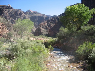 Christoph G. picture -- Grand Canyon