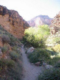 Christoph G. picture -- Grand Canyon