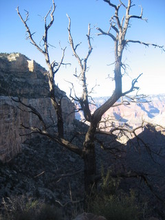 Christoph G. picture -- Grand Canyon