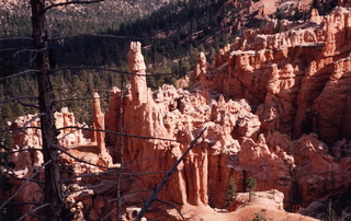 oldfamilyphoto -- Bryce/Zion trip