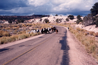 oldfamilyphoto -- Bryce/Zion trip