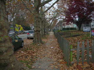 Godfrey Avenue in autumn