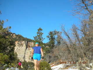 Zion National Park -- view from west rim trail -- Adam