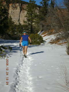 Zion National Park -- view from west rim trail -- Adam