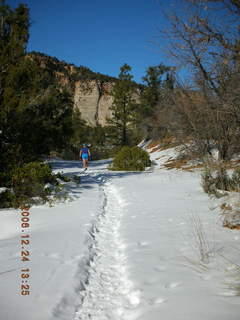 Zion National Park -- east rim trail -- Adam