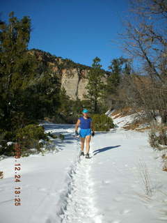 Zion National Park -- snowman and Adam