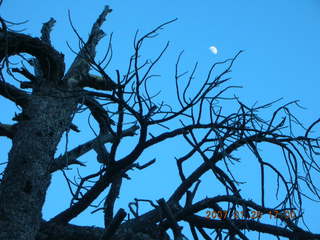 Zion National Park -- moon