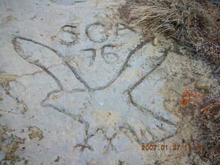 Minnesota trip - cat's glowing eyes