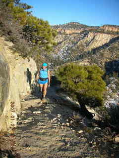 445 61t. Zion National Park - Observation Point hike - Adam