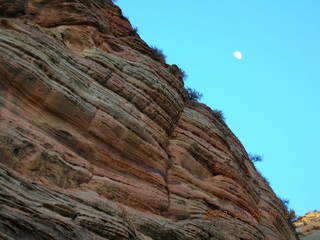 Zion National Park -- riverside walk -- moon