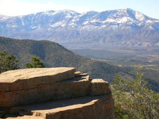 Payson run