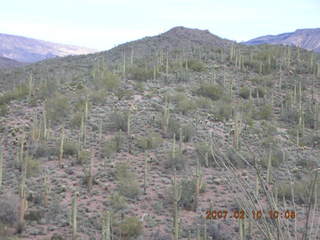 Cave Creek hike