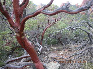 Sedona -- Secret Canyon hike -- slot canyon