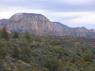 Sedona -- Secret Canyon hike -- Manzanita tree