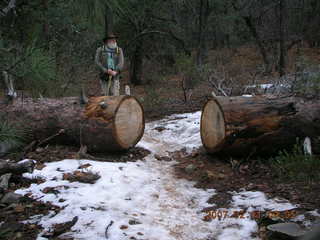 Sedona -- Secret Canyon hike -- old, cut tree -- Jim