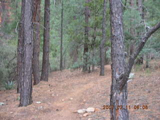 Sedona -- Secret Canyon hike