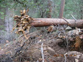 Sedona -- Secret Canyon hike