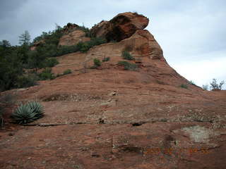 Sedona -- Secret Canyon hike