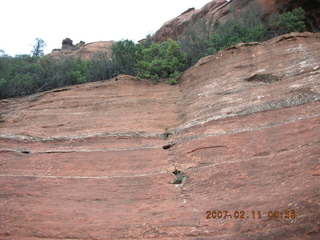 Sedona -- Secret Canyon hike -- uprooted tree