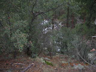 Sedona -- Secret Canyon hike -- even-more-secret arch