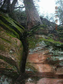 Sedona -- Secret Canyon hike -- even-more-secret arch