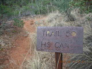 Sedona -- Secret Canyon hike