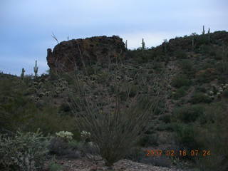 Cave Creek hike -- Turkey rock