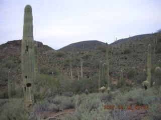Cave Creek hike