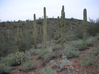 Cave Creek hike