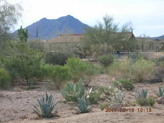 Cave Creek hike