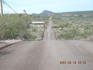 Cave Creek hike -- cholli about to bloom -- Bev