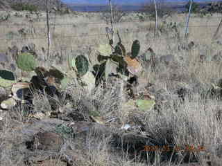 Bagdad run