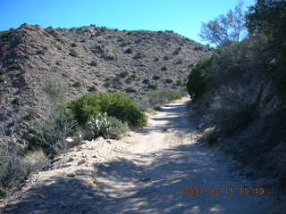 Bagdad run