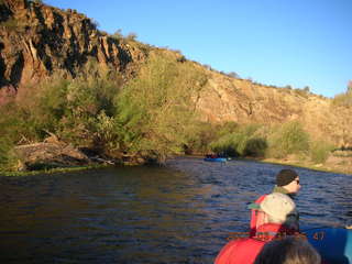 Salt River rafting trip