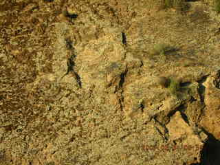 Salt River rafting trip - Nancy, Reidun, Beth