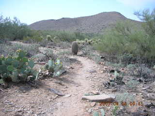 running path at Lost Dog Wash