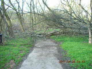 Tookany Creek Park - blocked path