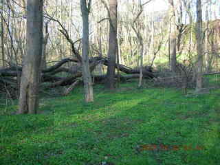 Tookany Creek Park - blocked path