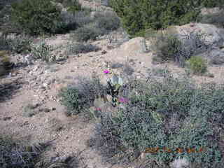 Bagdad run - Coors Lake