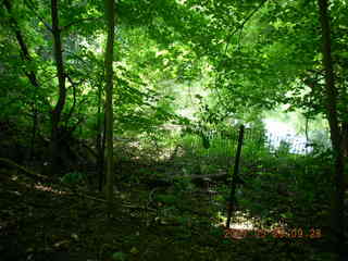 Carver Park trail