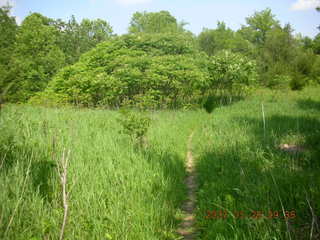 Carver Park trail