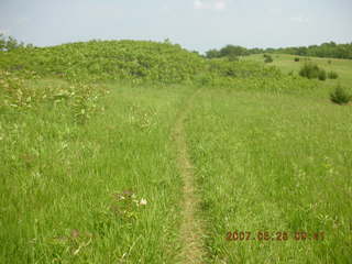 Carver Park trail