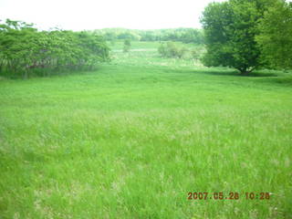 Carver Park meadow