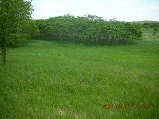 Carver Park paved path