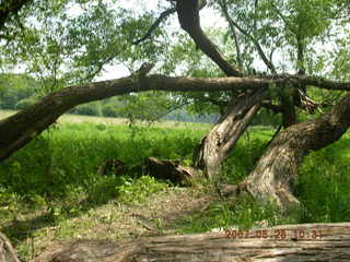 Carver Park trail - George