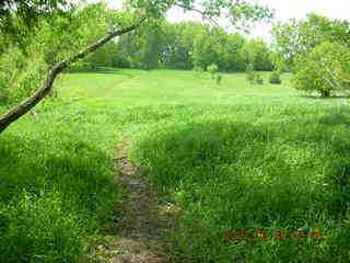 Carver Park meadow