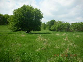 Carver Park meadow