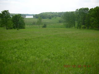 Carver Park meadow