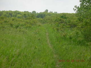 Carver Park trail